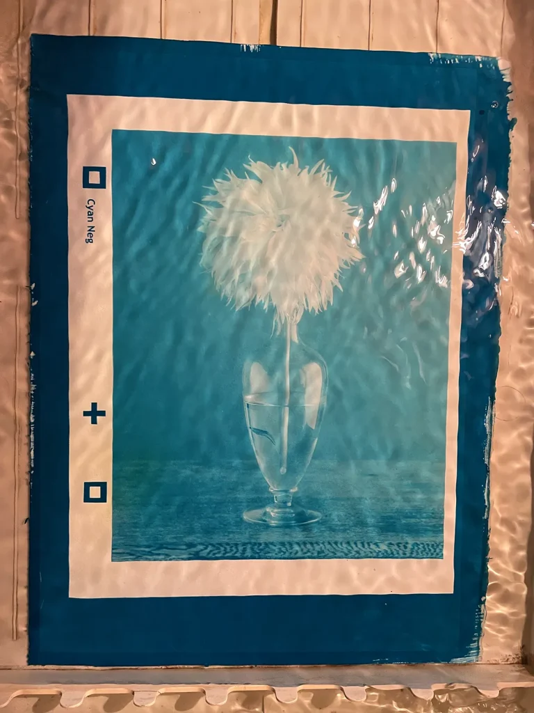 Watching an Image Appear, hand made photograpjhy