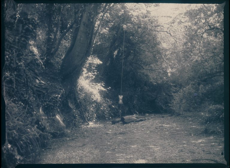 paper negatives, paper negative